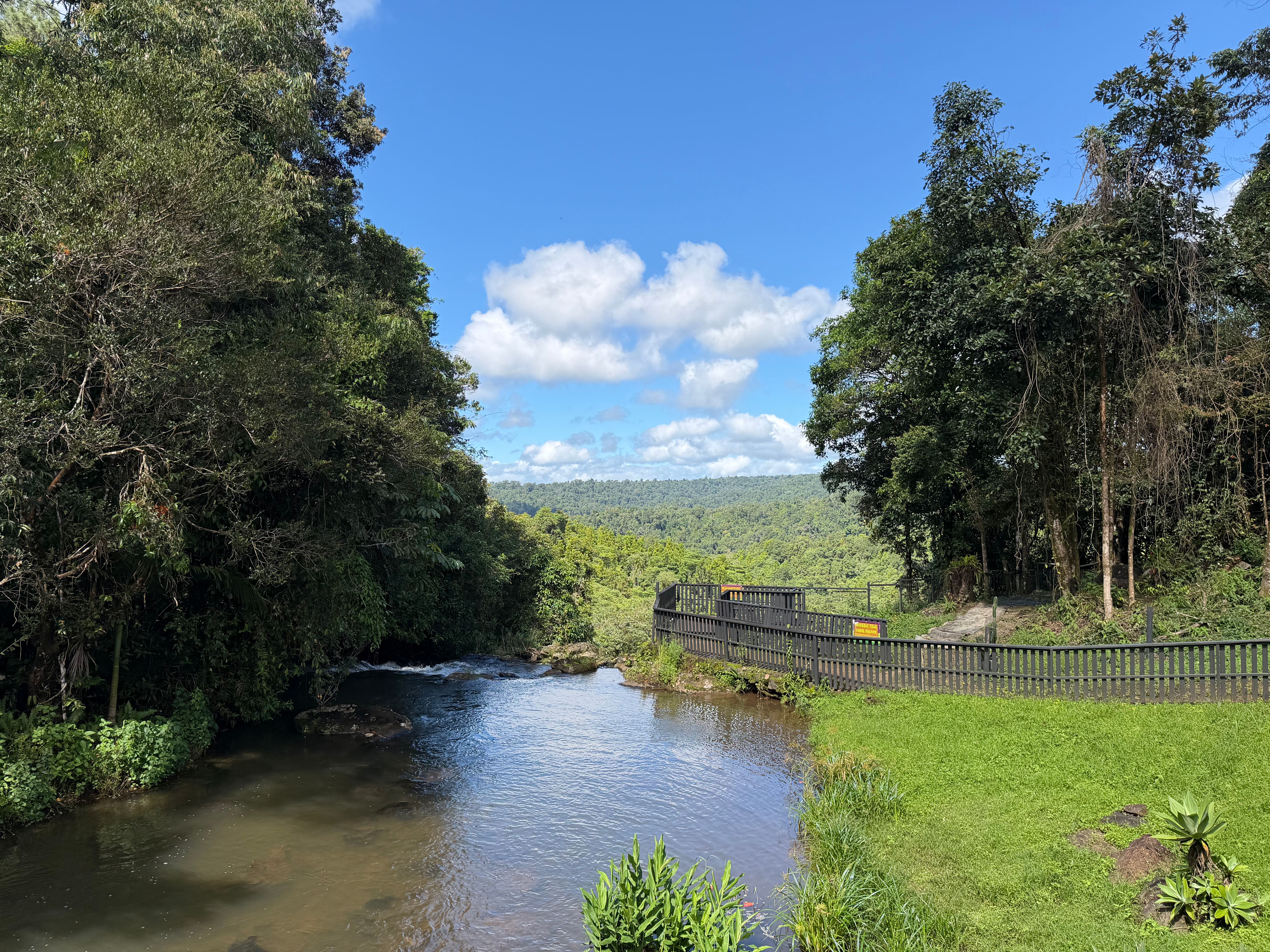 Scenic View of Rainforest and Stream in Australia · Free Stock Photo