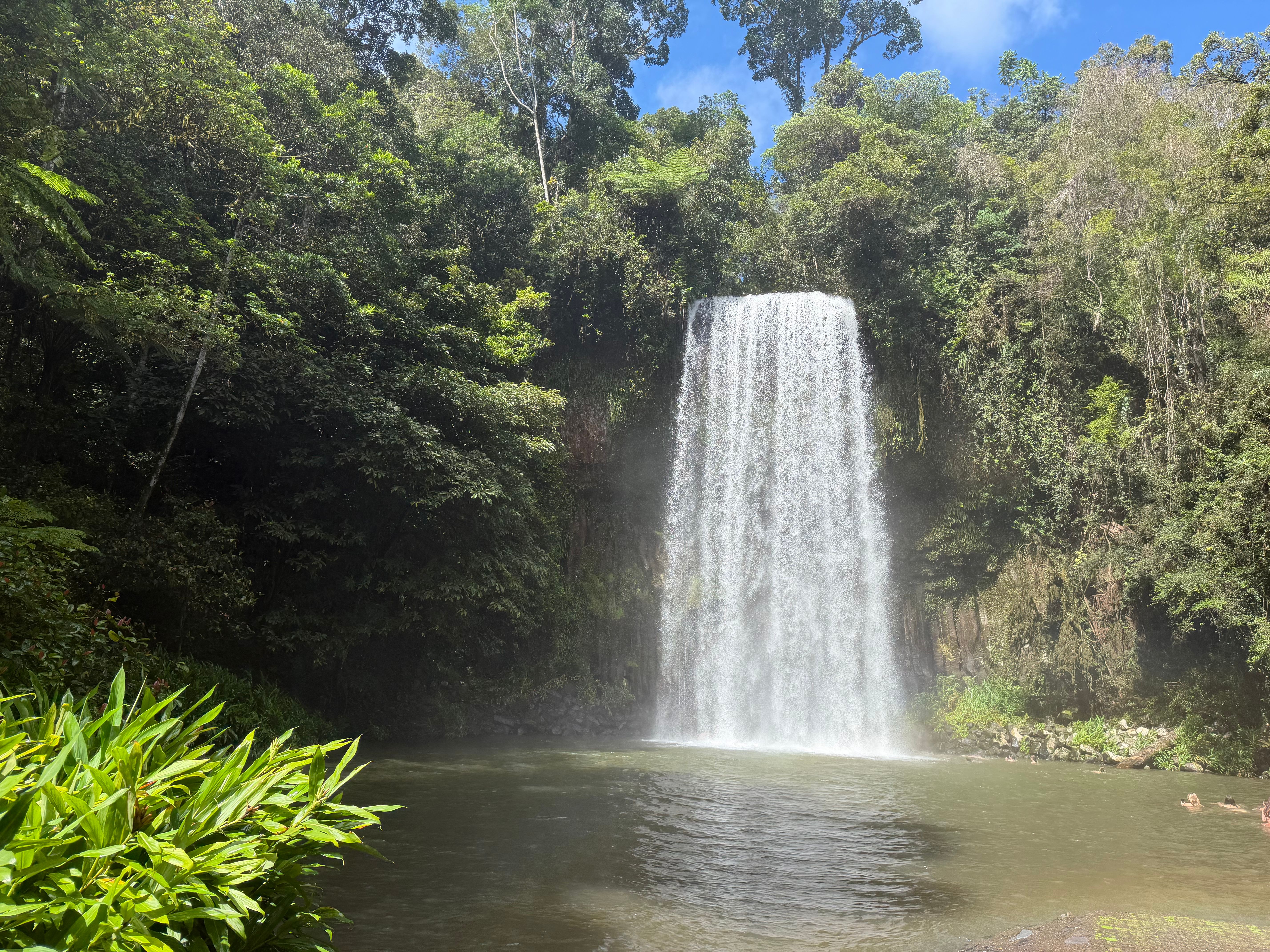 Circuito de cascadas de Atherton Tablelands