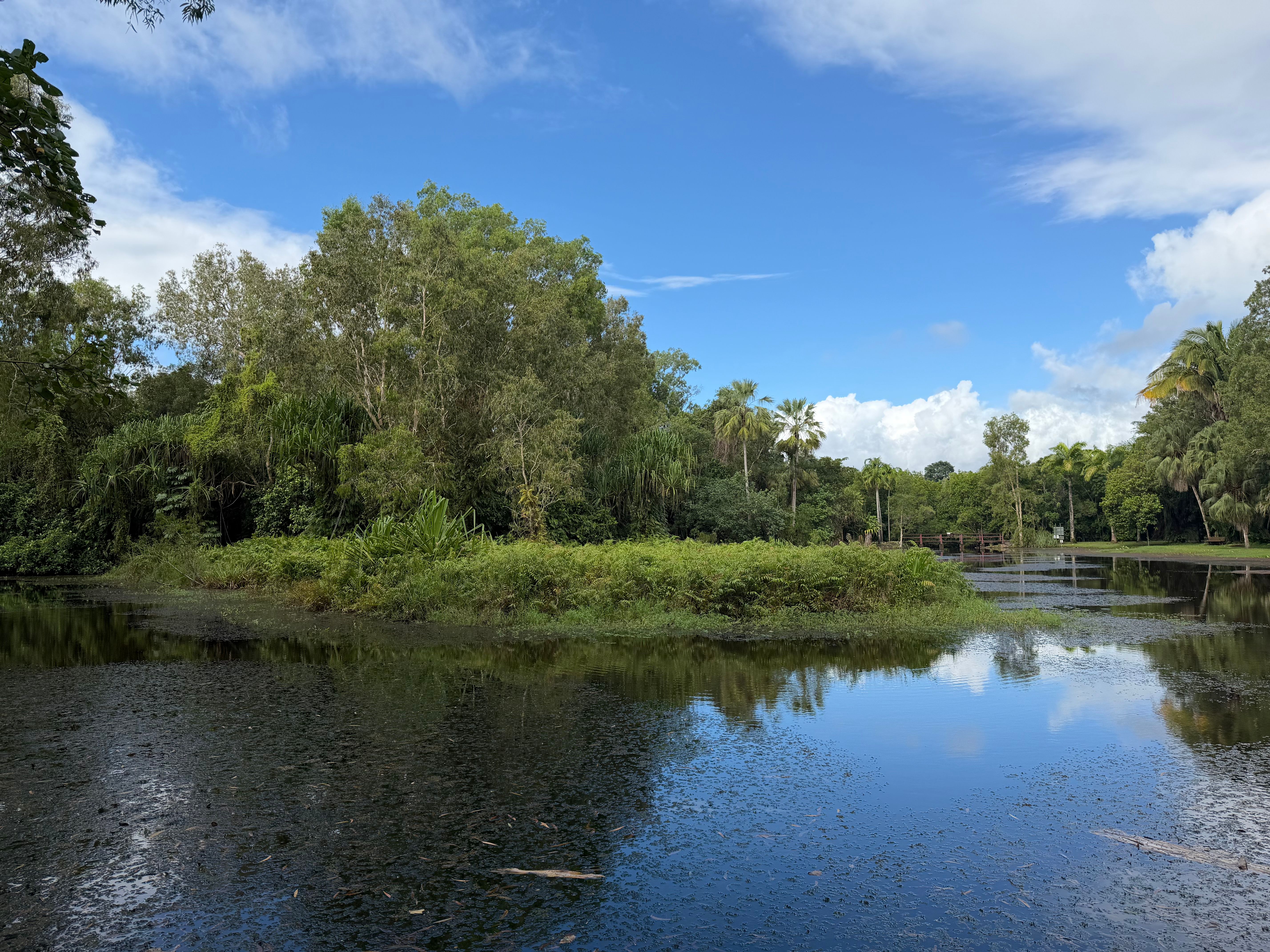 Best Parks in Townsville: Castle Hill, The Strand Foreshore and Coastal Wetlands