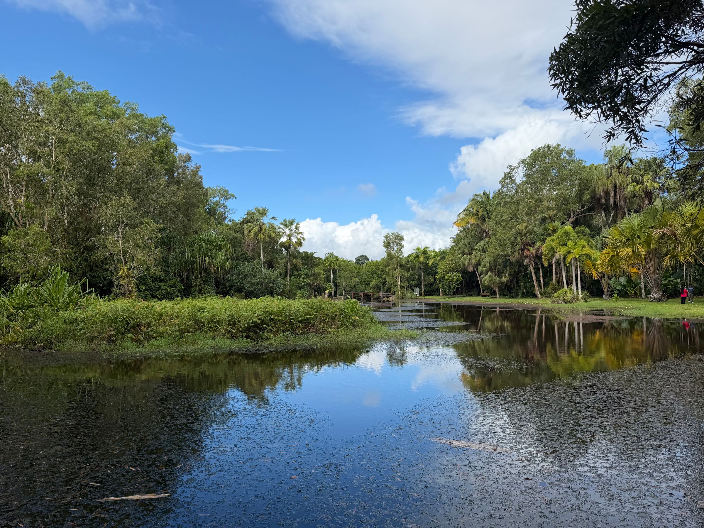 Lagoon Cairns
