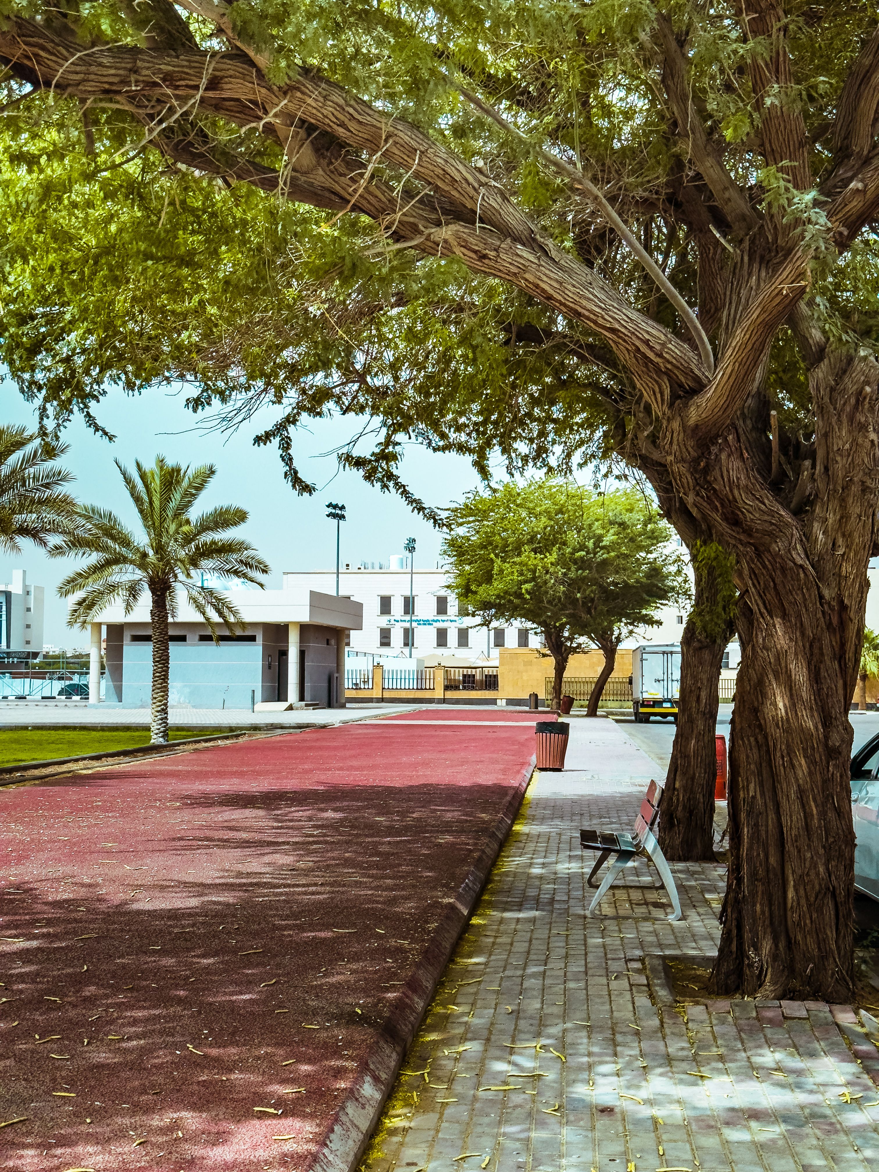 Free Tranquil park scene featuring vibrant trees and a distinctive red running track on a sunny day. Stock Photo