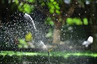 Close-up of a garden sprinkler watering a lush green lawn with sunlight creating sparkling water droplets.