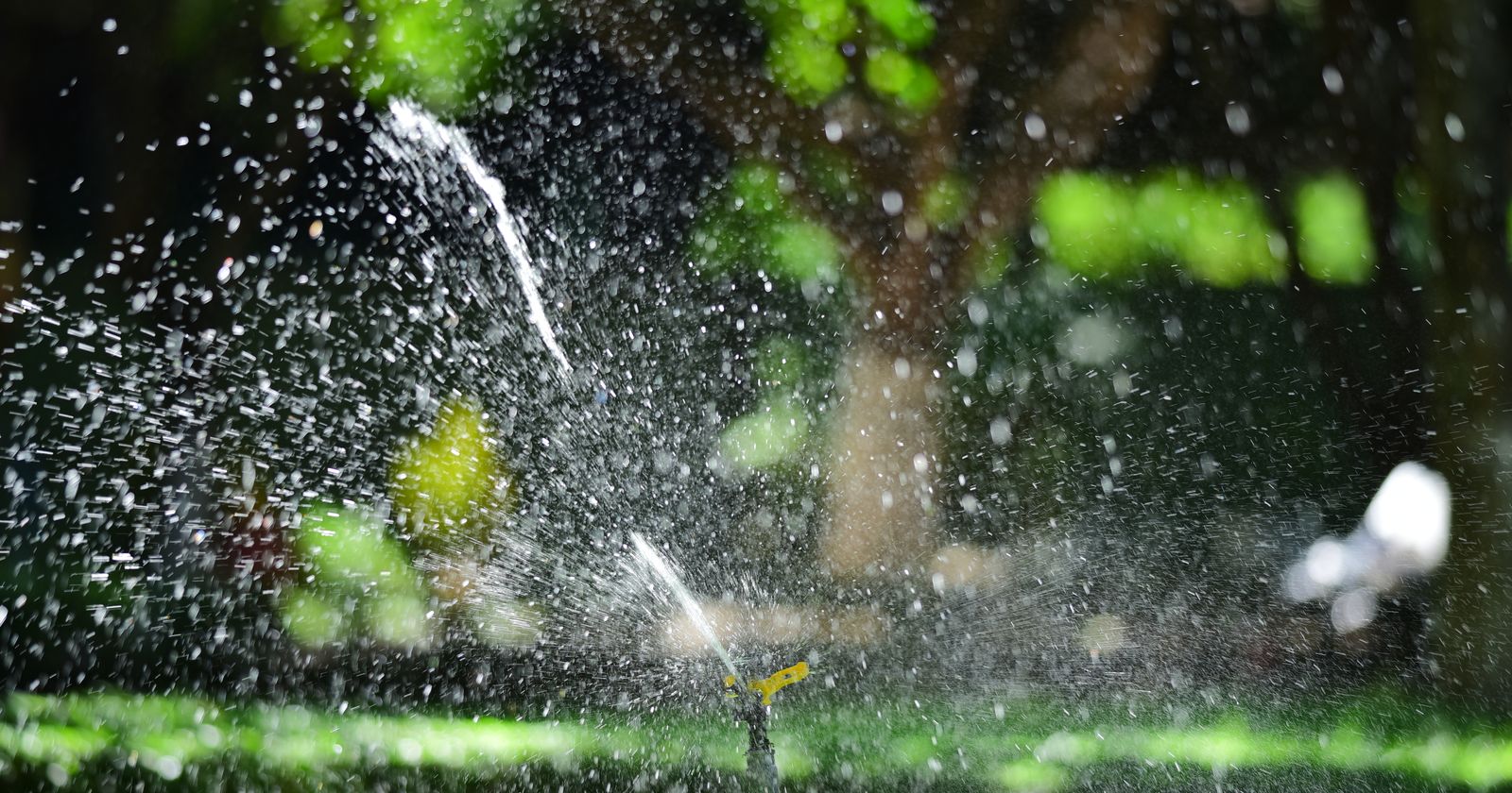 Sprinkler Blowout Cost in the Twin Cities: What You'll Pay in 2026