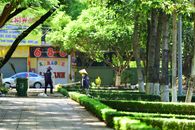 Workers maintaining a Vietnamese urban park with lush greenery and trees.
