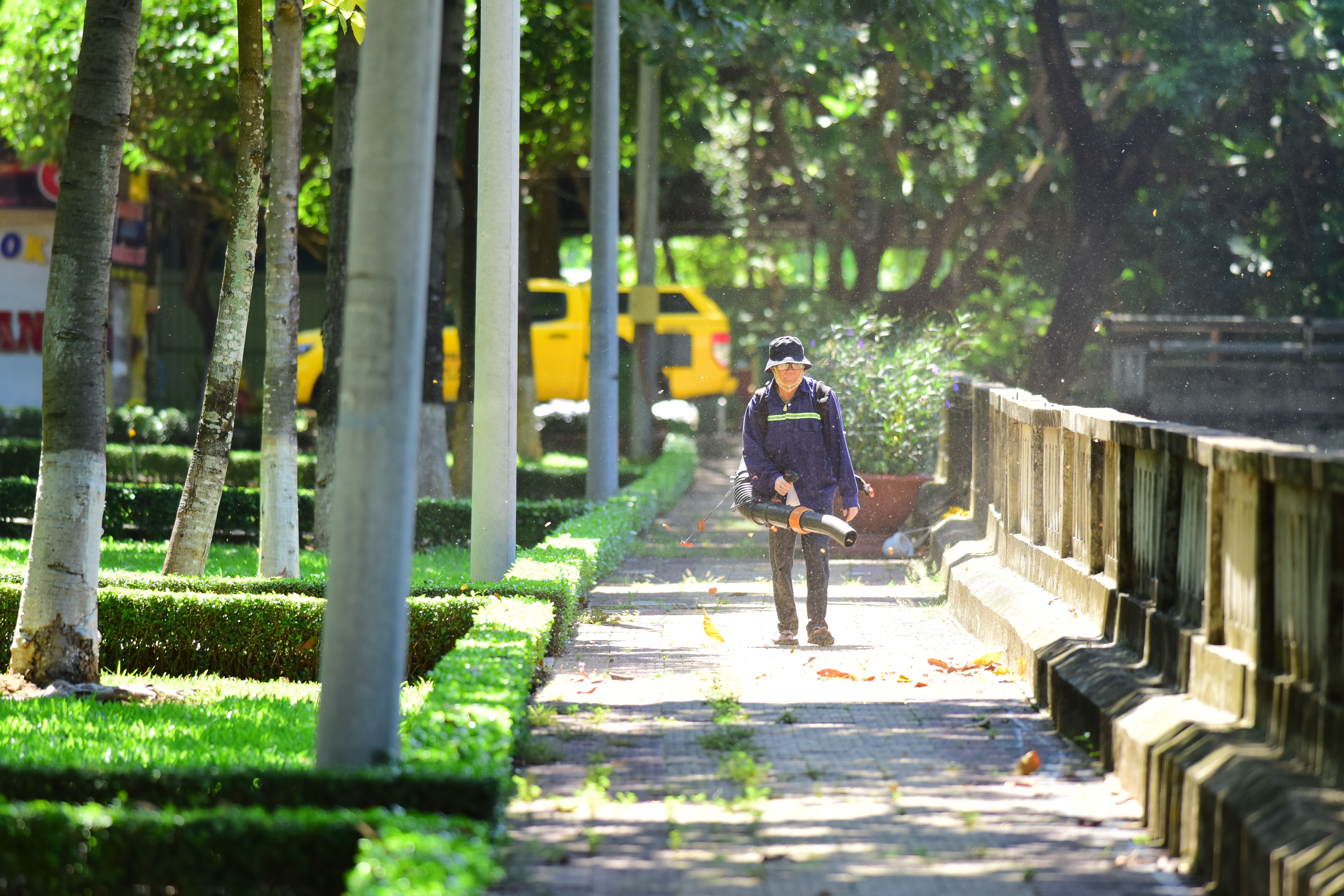 Leaf Removal contractors