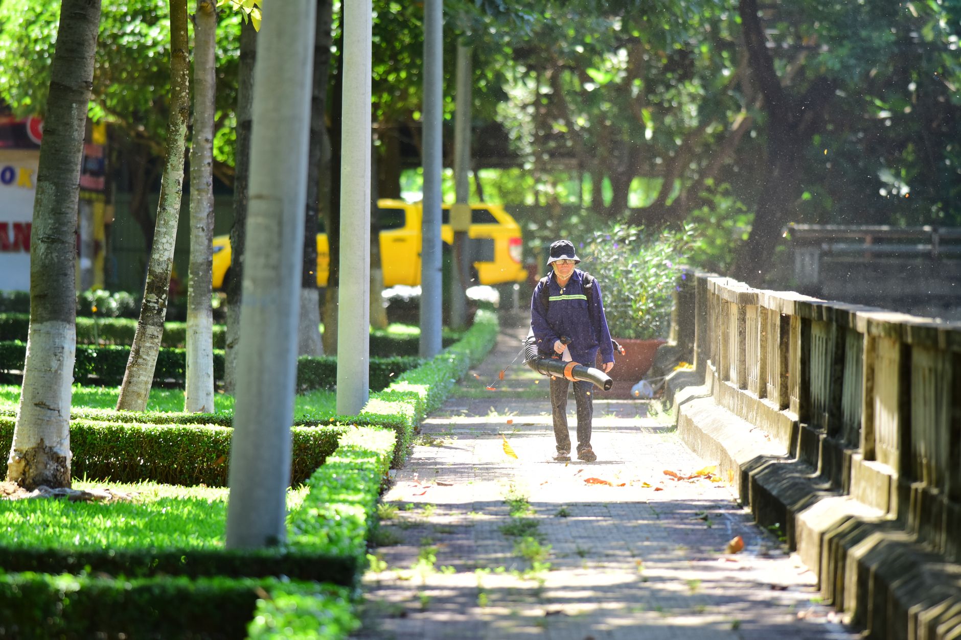 Leaf Removal contractors