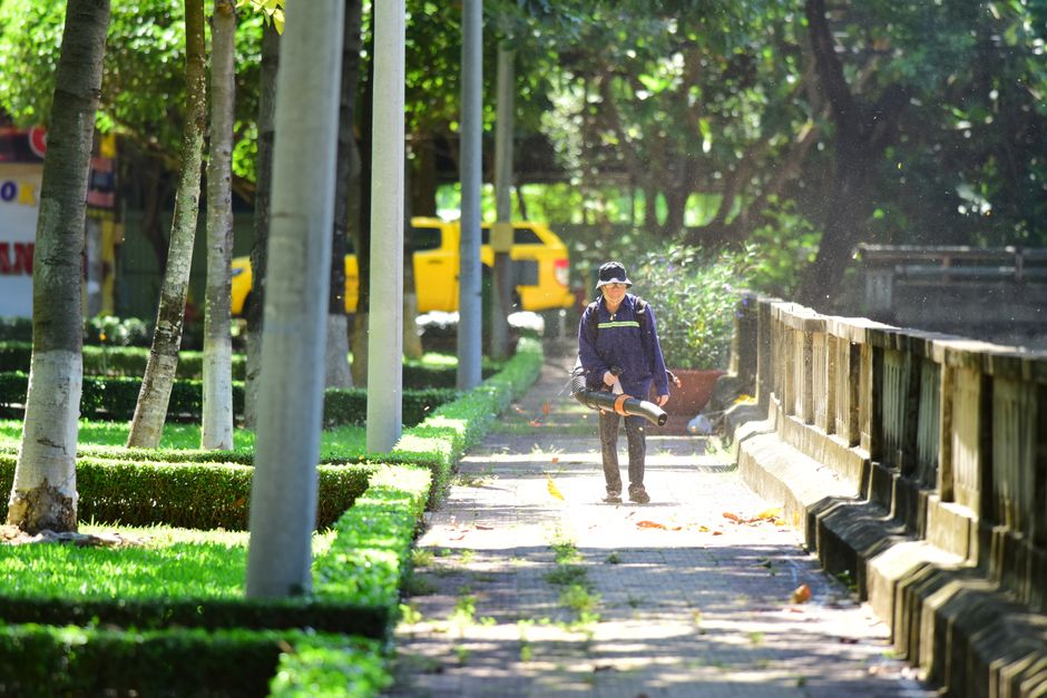 Is paying for leaf vacuum service worth it or should I rake? — step-by-step reference media