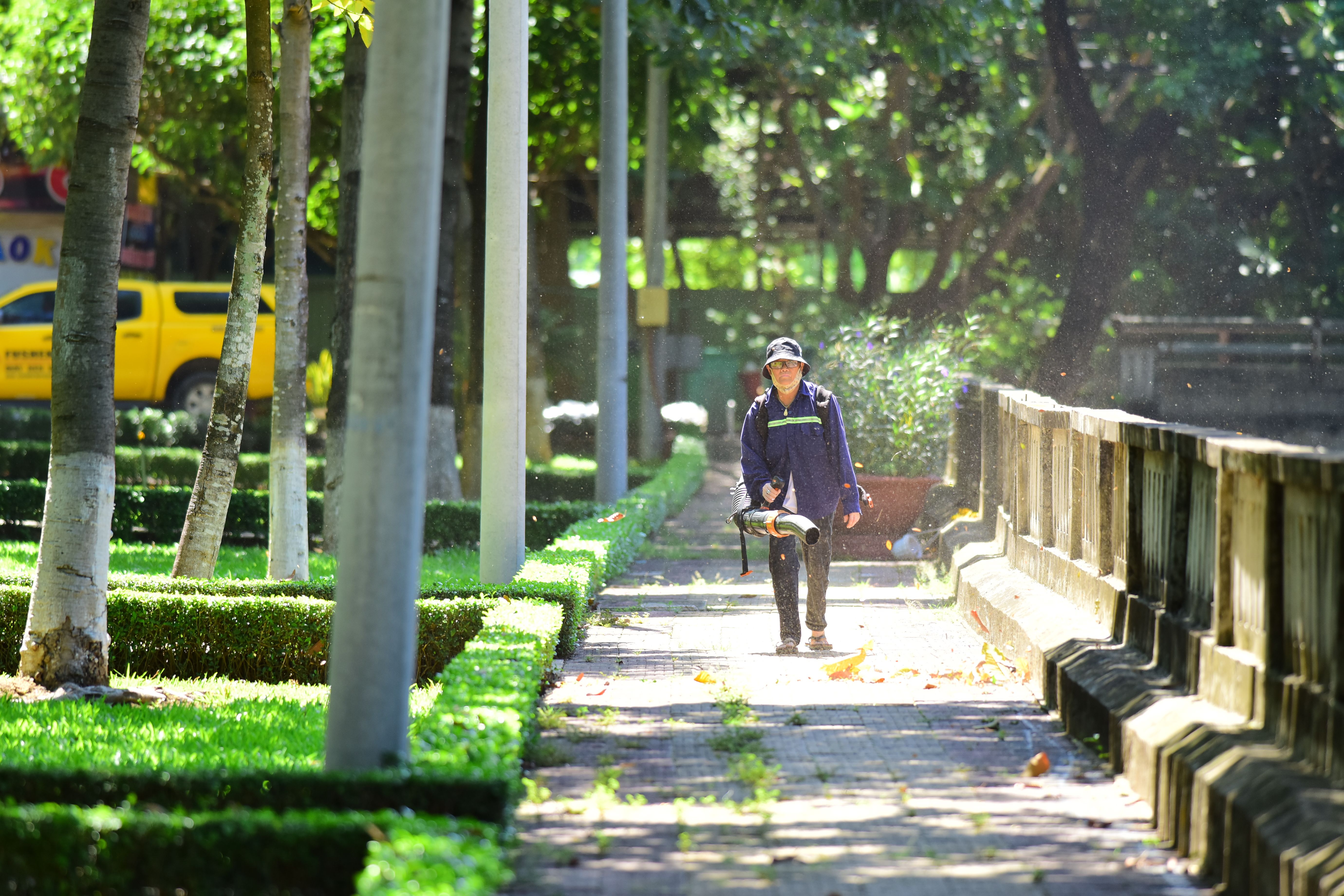 A gardener maintains a lush park pathway using a leaf blower on a bright day.