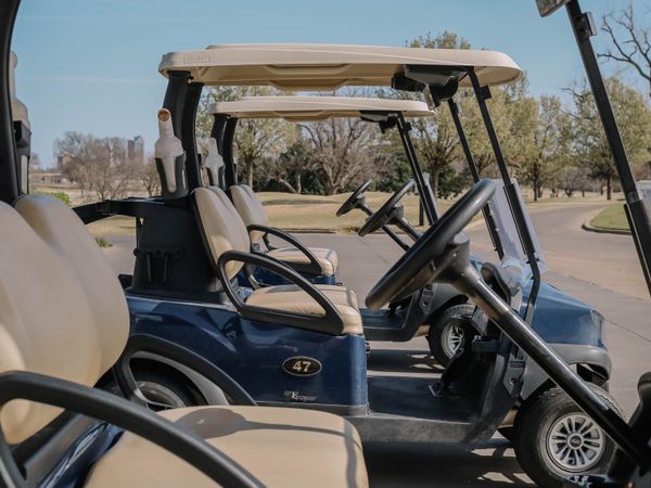Golf Cart Branding, image 1 of 1
