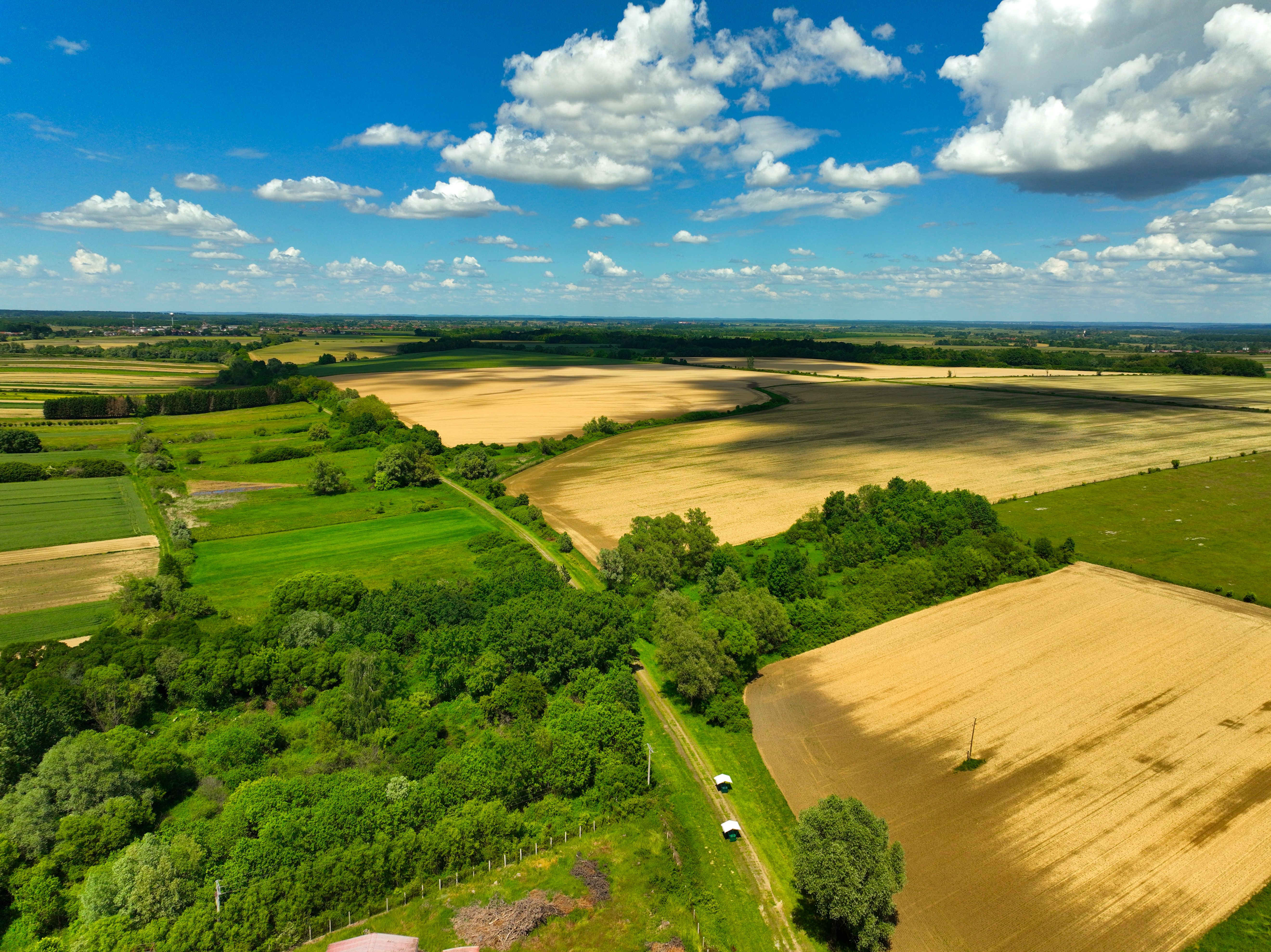 Stunning aerial view of lush green and golden fields under a bright blue sky in Garešnica, Croatia.