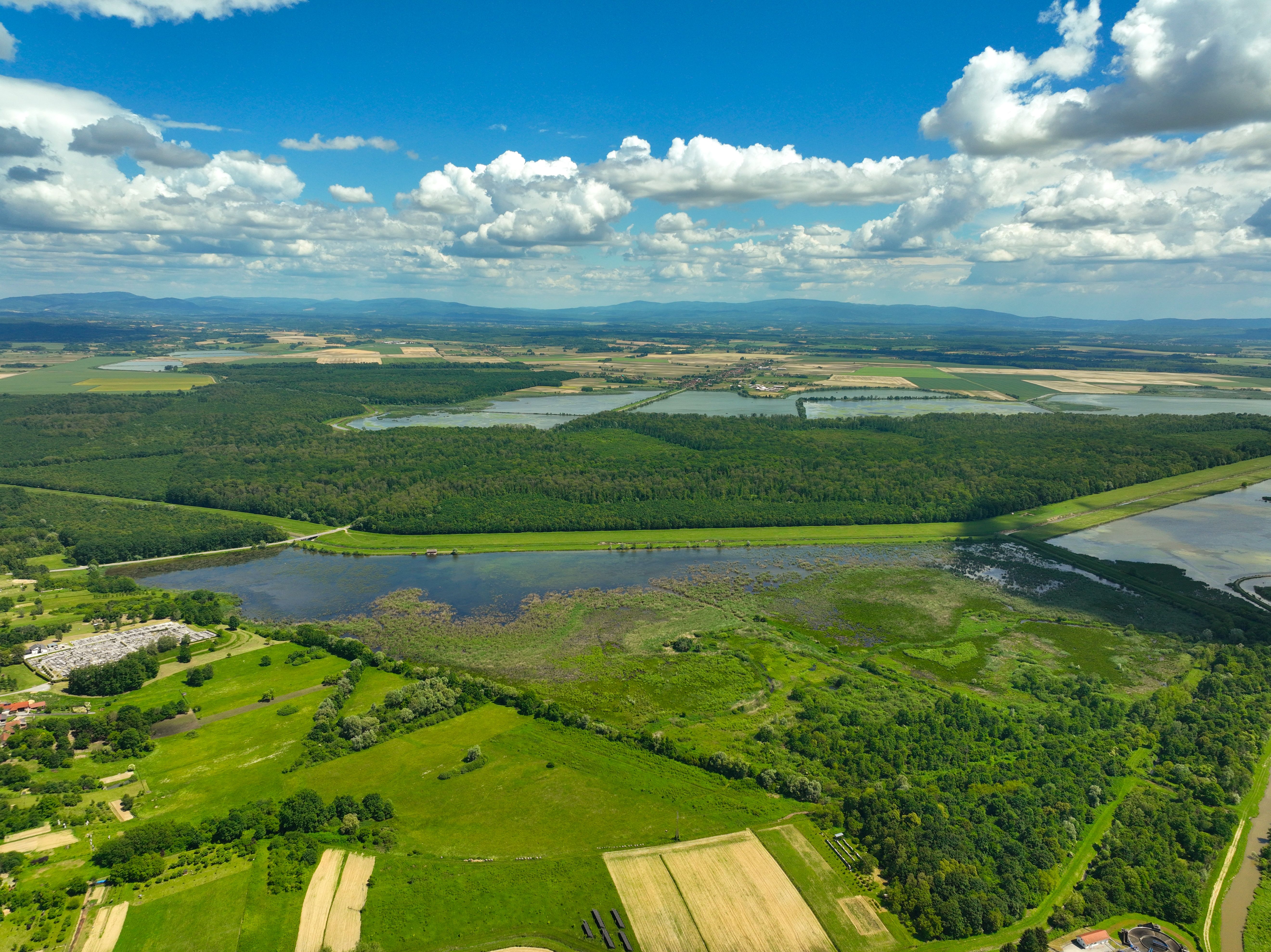 Consultation environnementale personnalisée