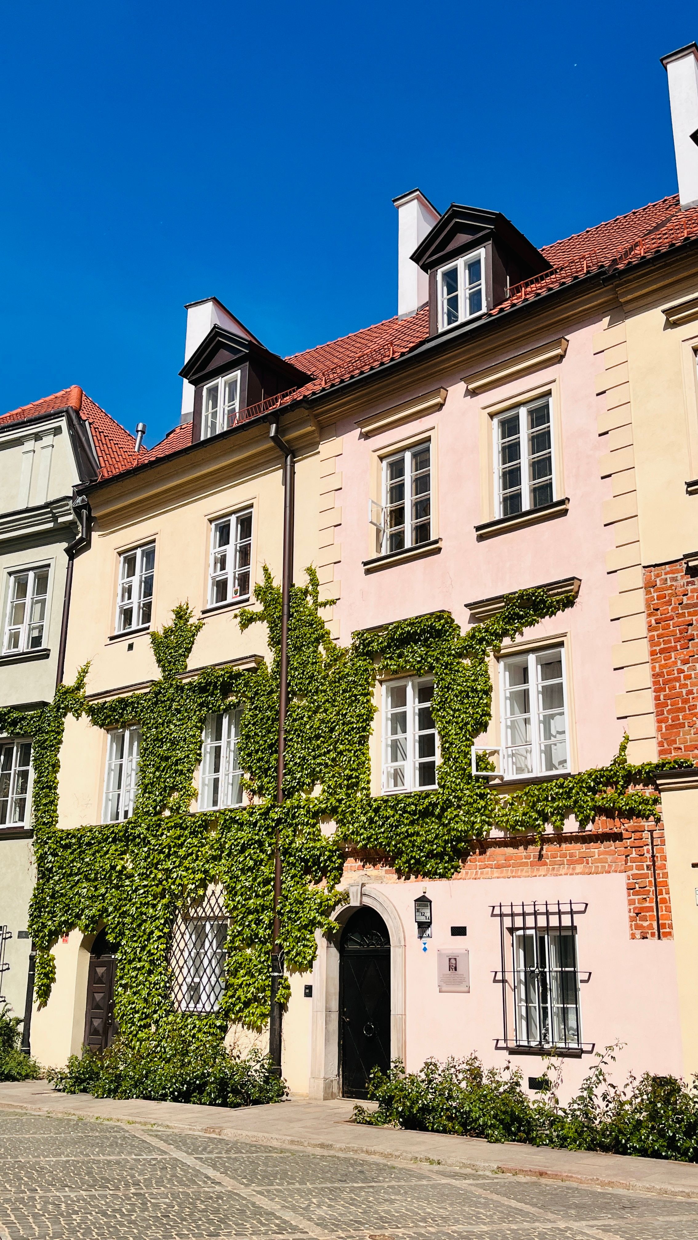 A picturesque ivy-covered house facade showcasing historic architecture on a sunny day.