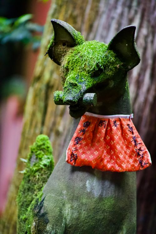 Free A moss-covered fox statue with a red bib in a forest, showcasing nature's artistic touch. Stock Photo