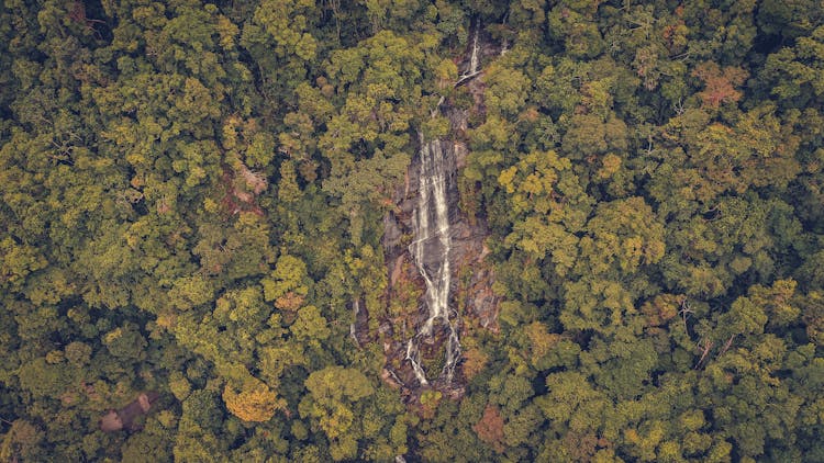 Aerial View Of Waterfall On Forested Mountain