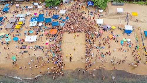 Free Drone view of people in swimsuits visiting swim challenge on exotic coast of ocean Stock Photo