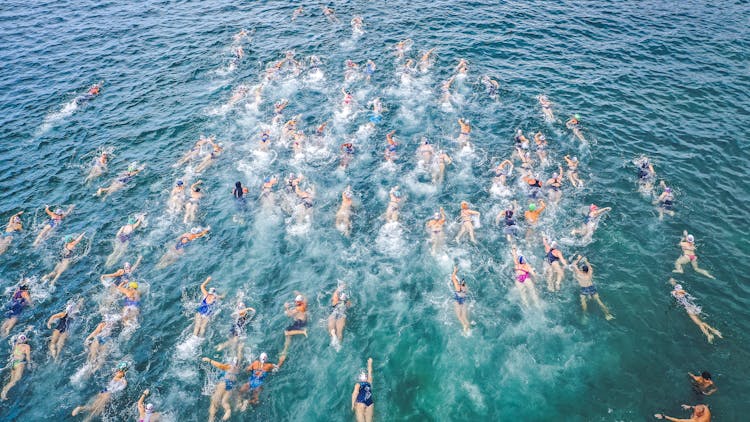 Swimmers Taking Park In Race