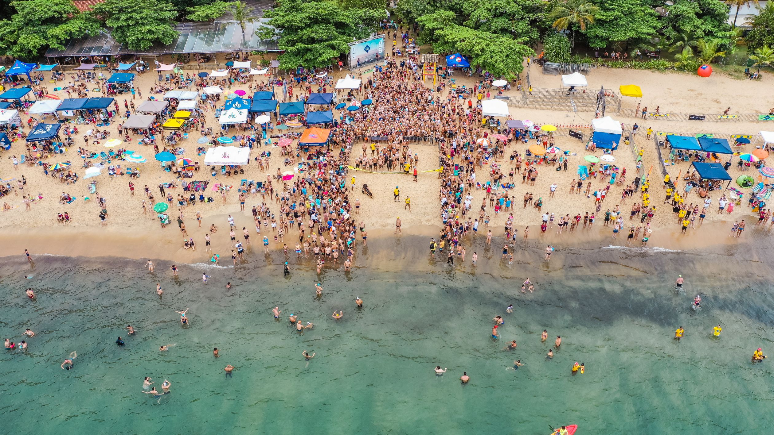 Addictive Beach Sports for Active Seniors Event Planning Addictive Beach Sports for Active Seniors Event Planning