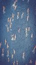 Aerial view of swimmers during competition in sea