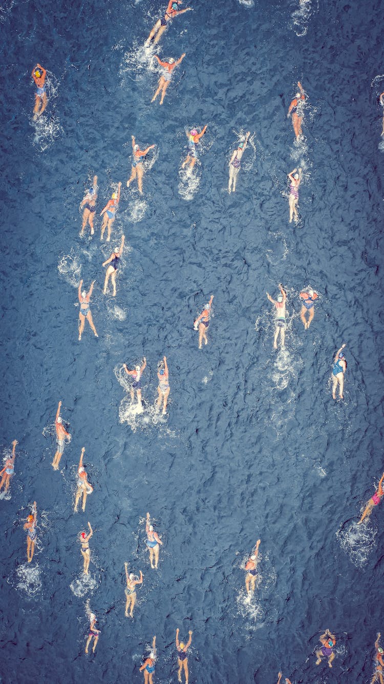 Aerial View Of Swimmers During Competition In Sea