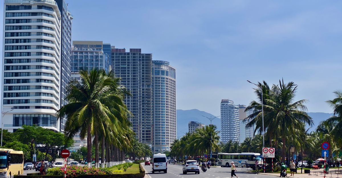 Sunny cityscape view with high-rise buildings and palm-lined street, showcasing urban architecture.