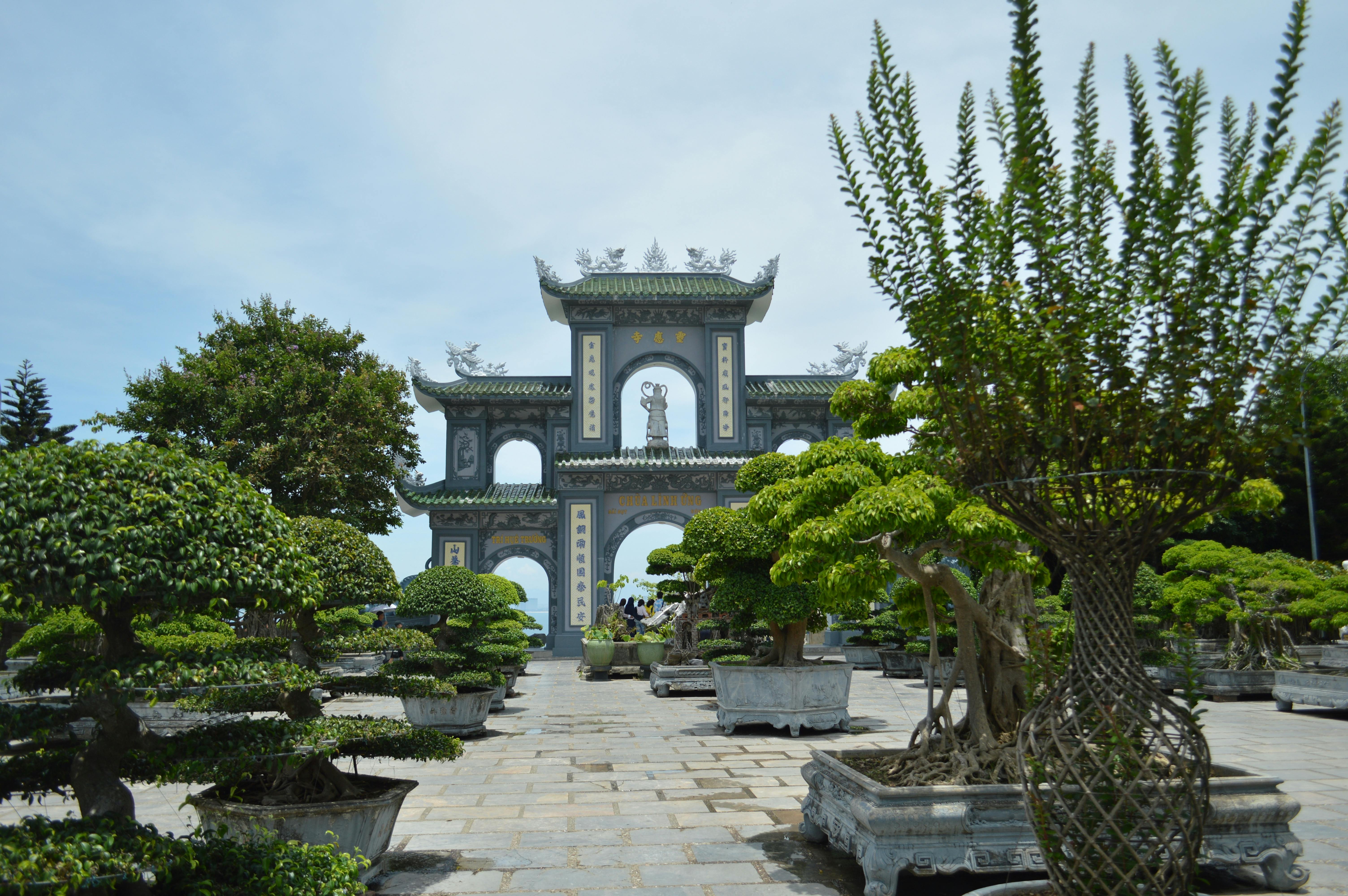 A serene view of a traditional Vietnamese pagoda entrance surrounded by lush bonsai trees in a garden.