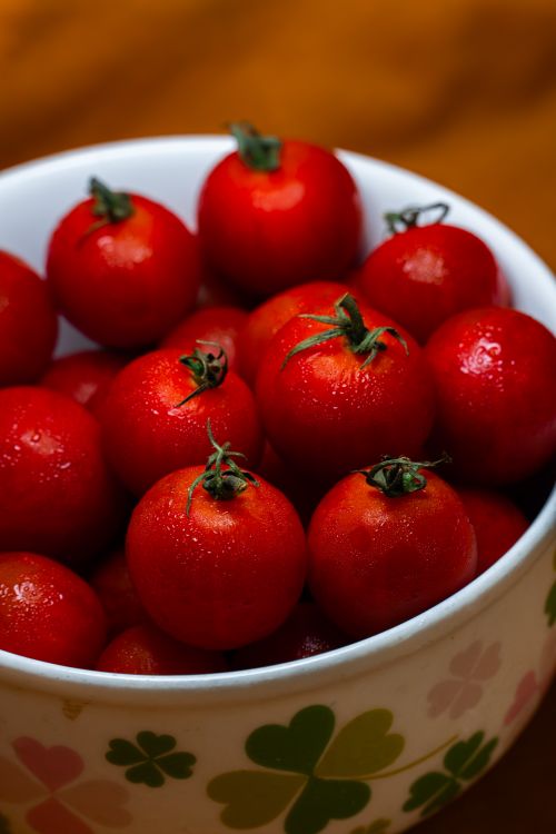 Free Vibrant and juicy cherry tomatoes collected in a decorative floral bowl, ideal for healthy snacks or cooking. Stock Photo