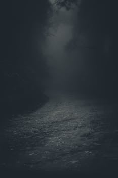 一条笼罩在薄雾与黑暗中的神秘而怪异的森林小路，非常适合怪异的主题