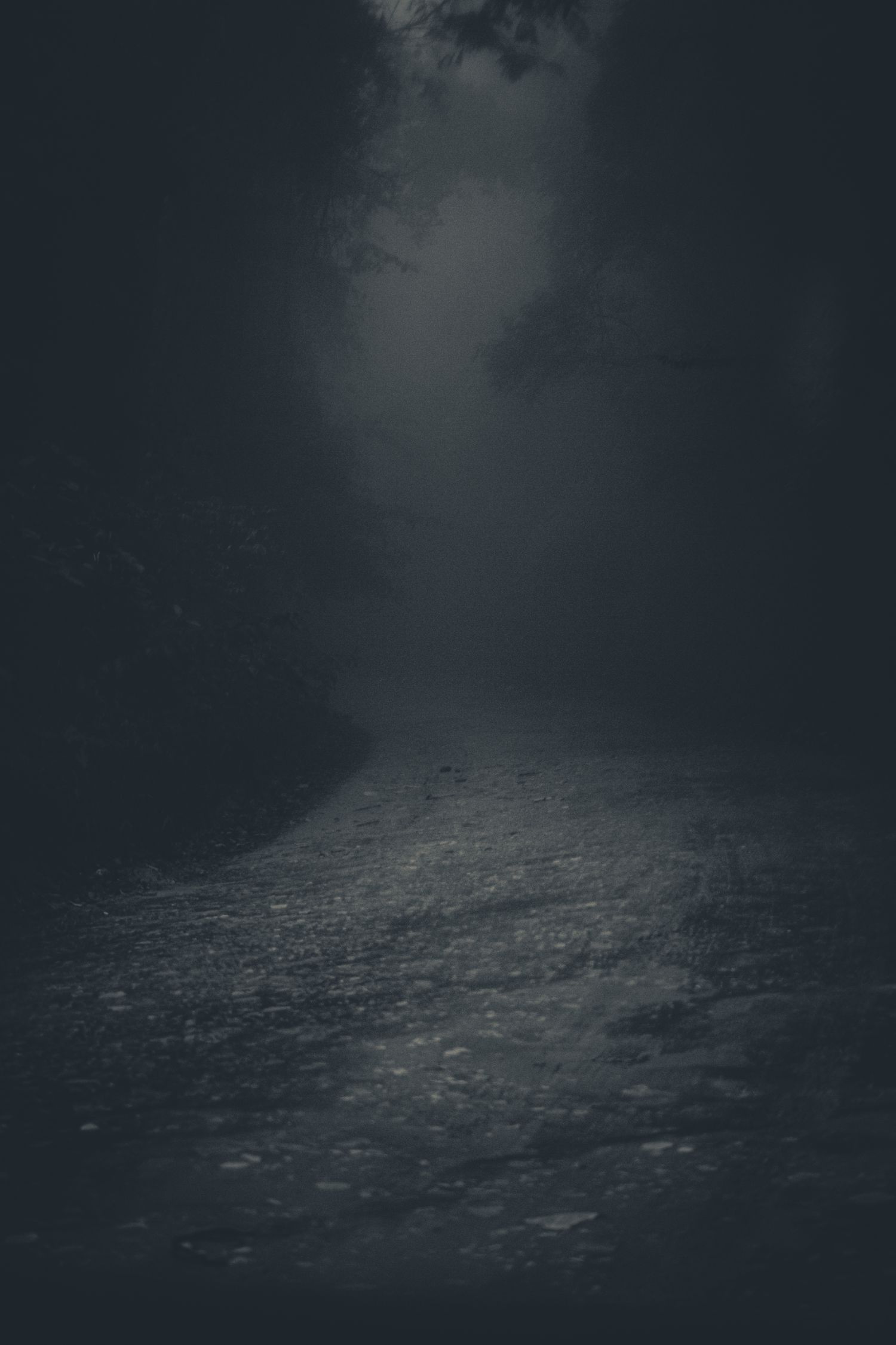 A mysterious and eerie forest pathway shrouded in mist and darkness, perfect for spooky themes
