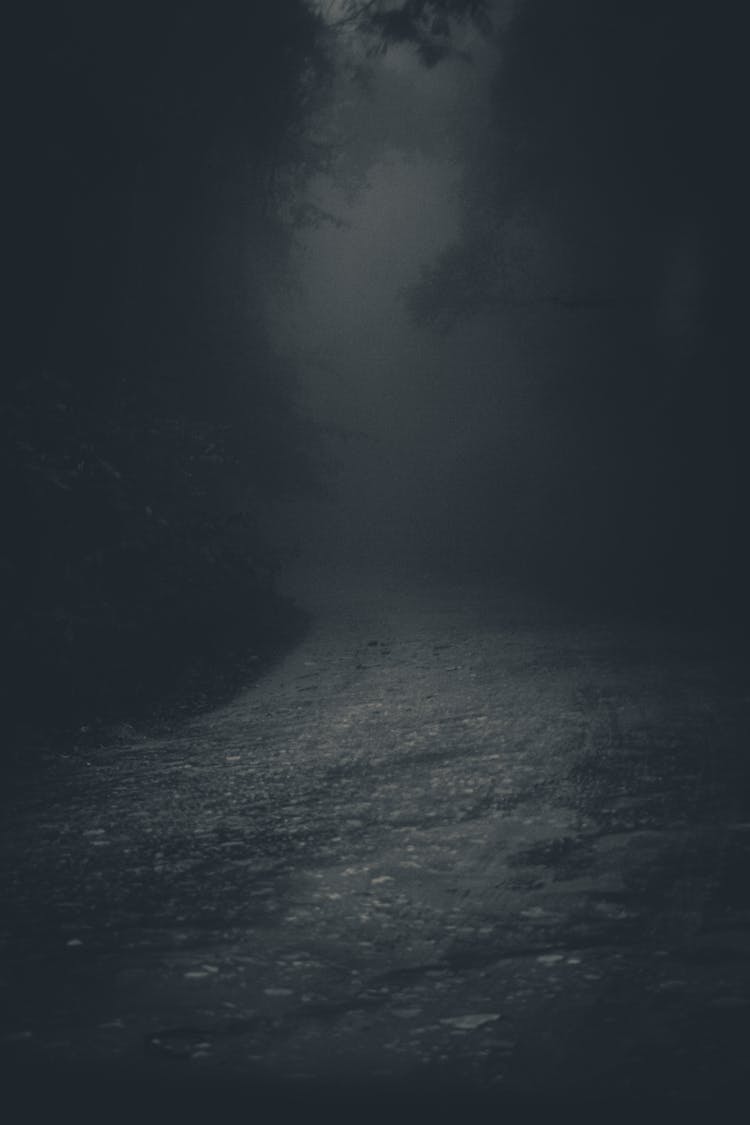 Mysterious Spooky Lane In Dark Forest