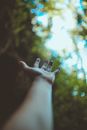 Crop person outstretching hand in forest