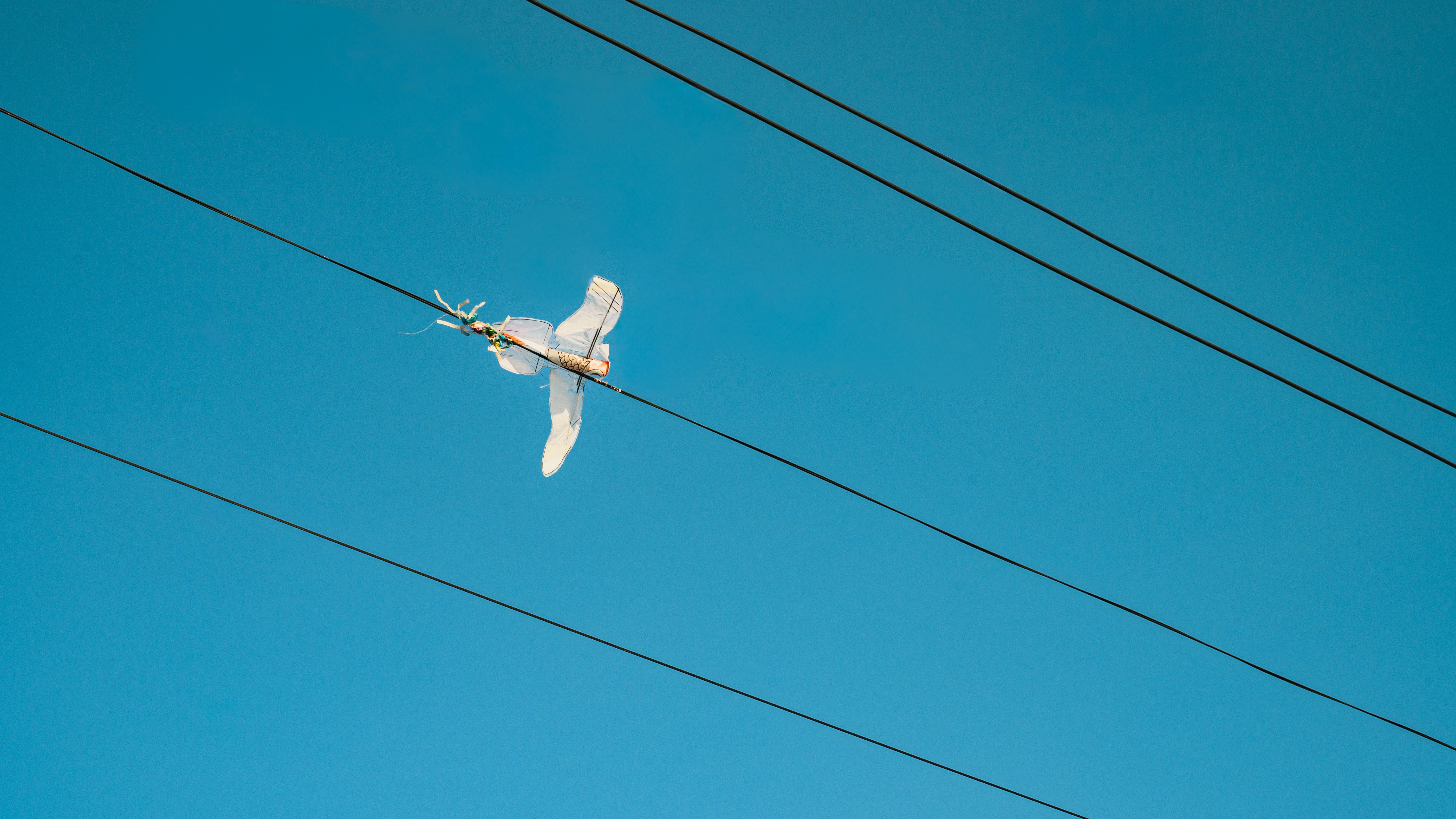 A plastic bag resembling a bird, tangled on power lines, with a clear blue sky background.