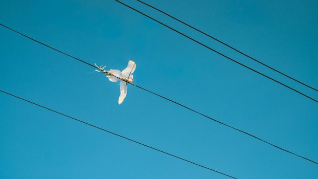 A plastic bag resembling a bird, tangled on power lines, with a clear blue sky background.