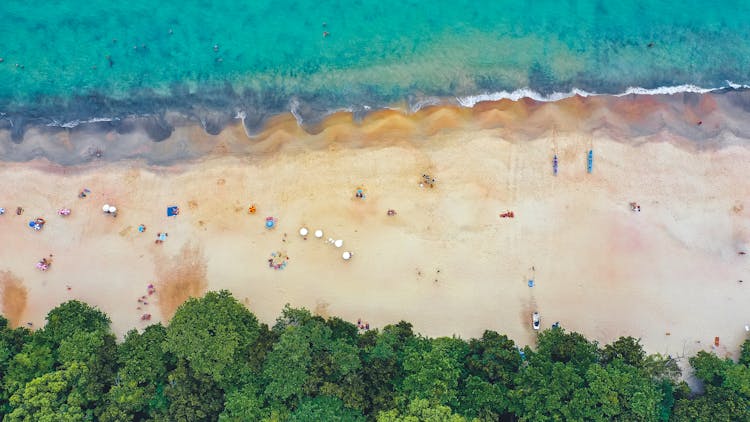 Aerial Photography Of Beach Shore