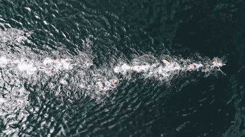 免费 游泳者在海洋上 素材图片