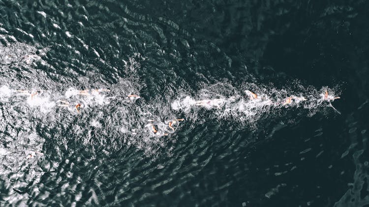 Swimmers On Ocean