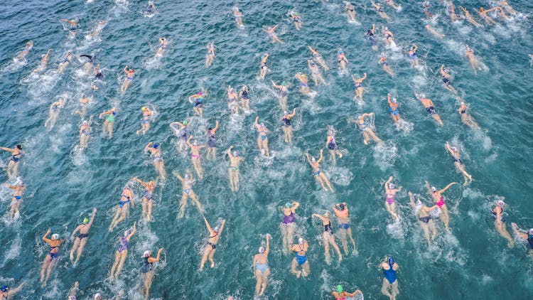 Swimmers On Body Water