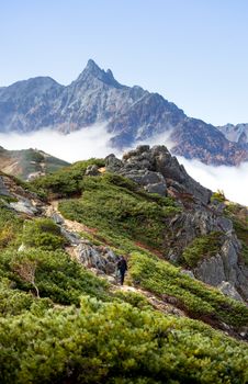 A hiker on a picturesque trail in the Japanese Alps during autumn with lush greenery and mountain peaks.