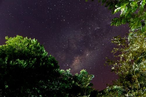Free Gaze at the stunning starry night sky over a lush forest in Corrientes, Argentina. Stock Photo