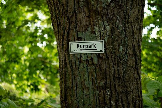 A tree trunk with a Kurpark direction sign in a lush green forest, captured on a spring day.