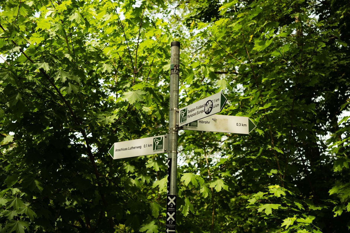 Destination Signs in a Forest · Free Stock Photo