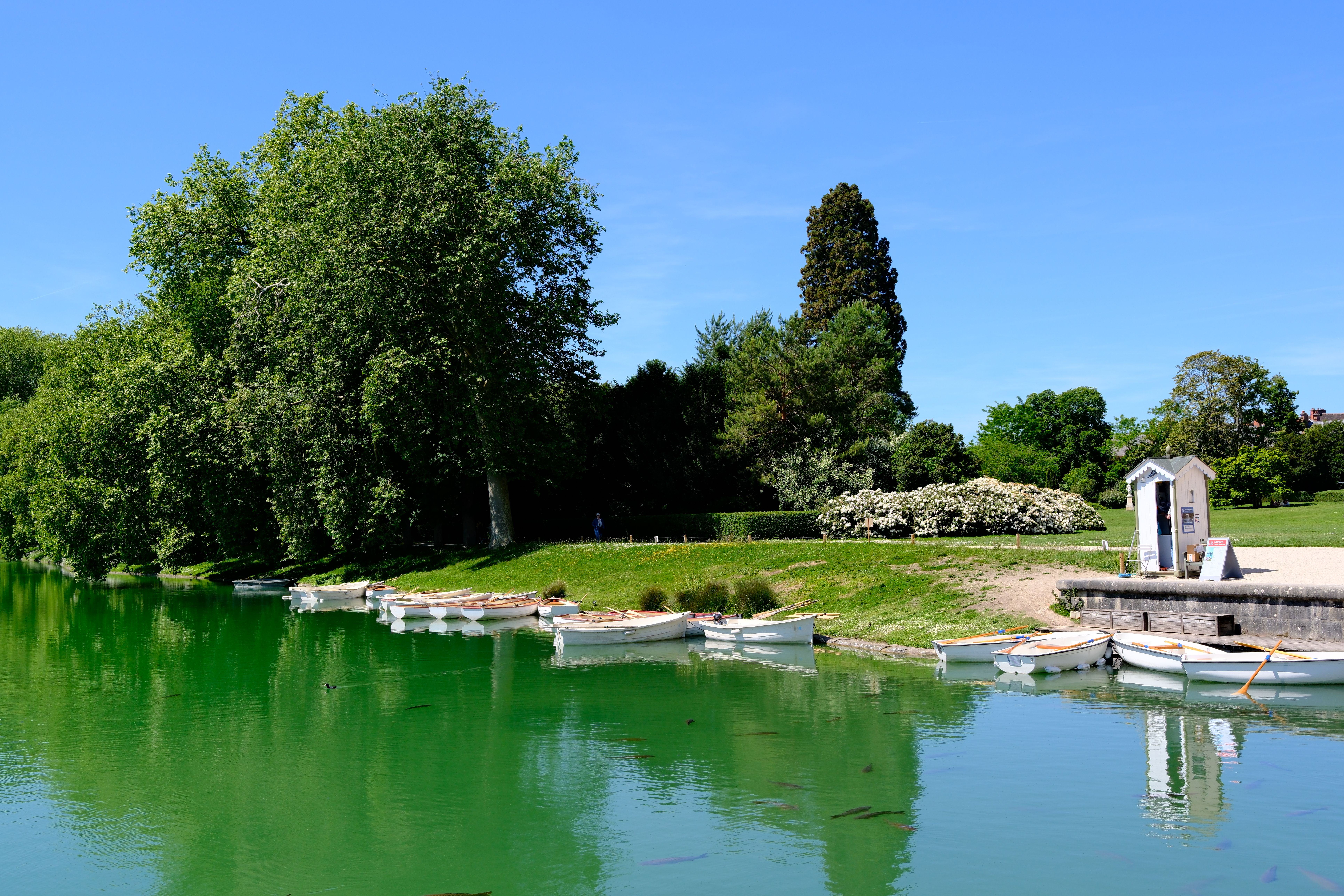 Sunlit boating lake in Fontainebleau, France, with white boats, a small pavilion, green parkland and a person by the shore