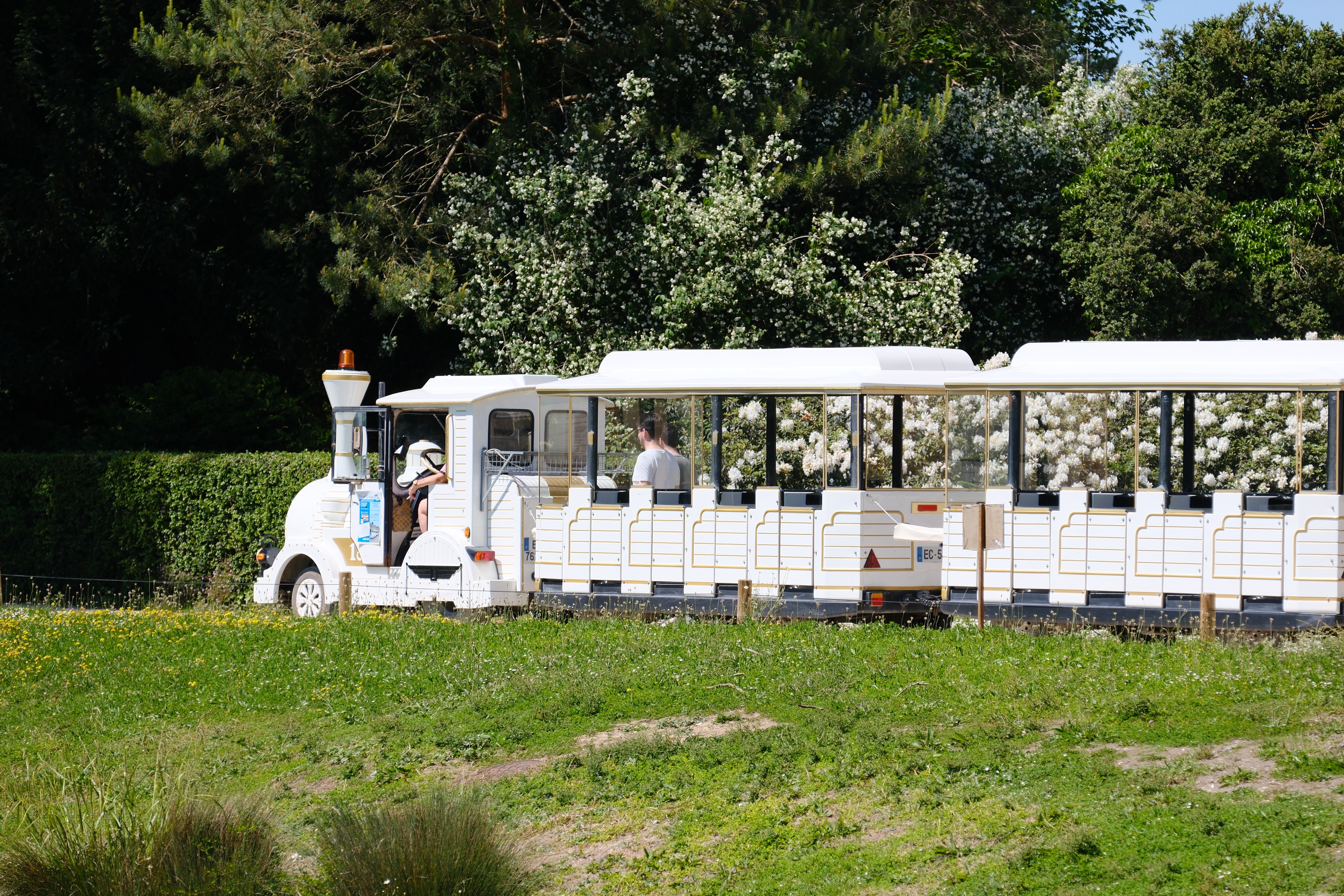 One Way Train