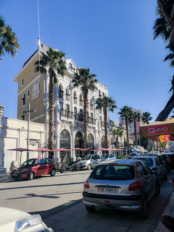 阿茲海默症大腦損傷逆轉新突破:2026年治療革命即將到來? 阿茲海默症大腦損傷逆轉新突破:2026年治療革命即將到來?