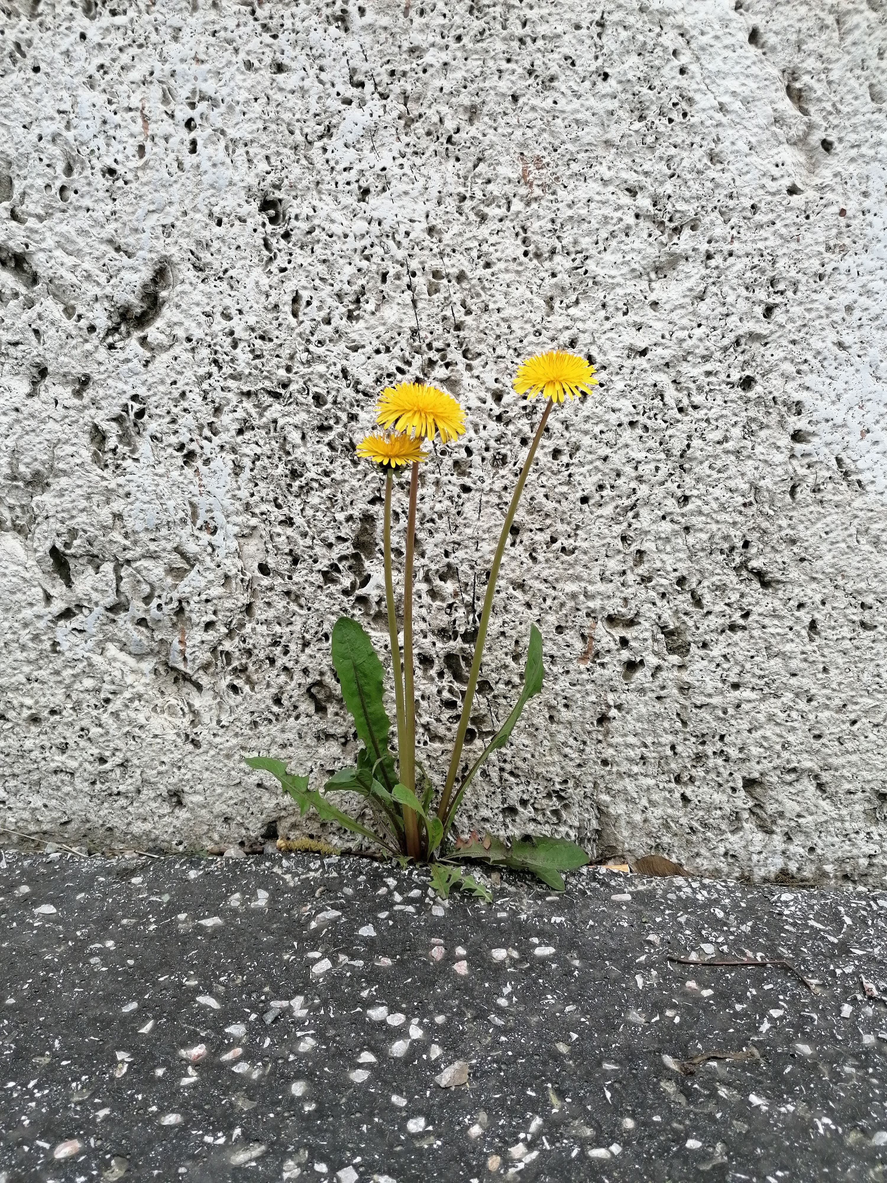 Resilience