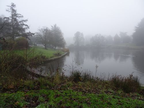 Free Serene lake with misty atmosphere and lush greenery in Crewe, England. Stock Photo
