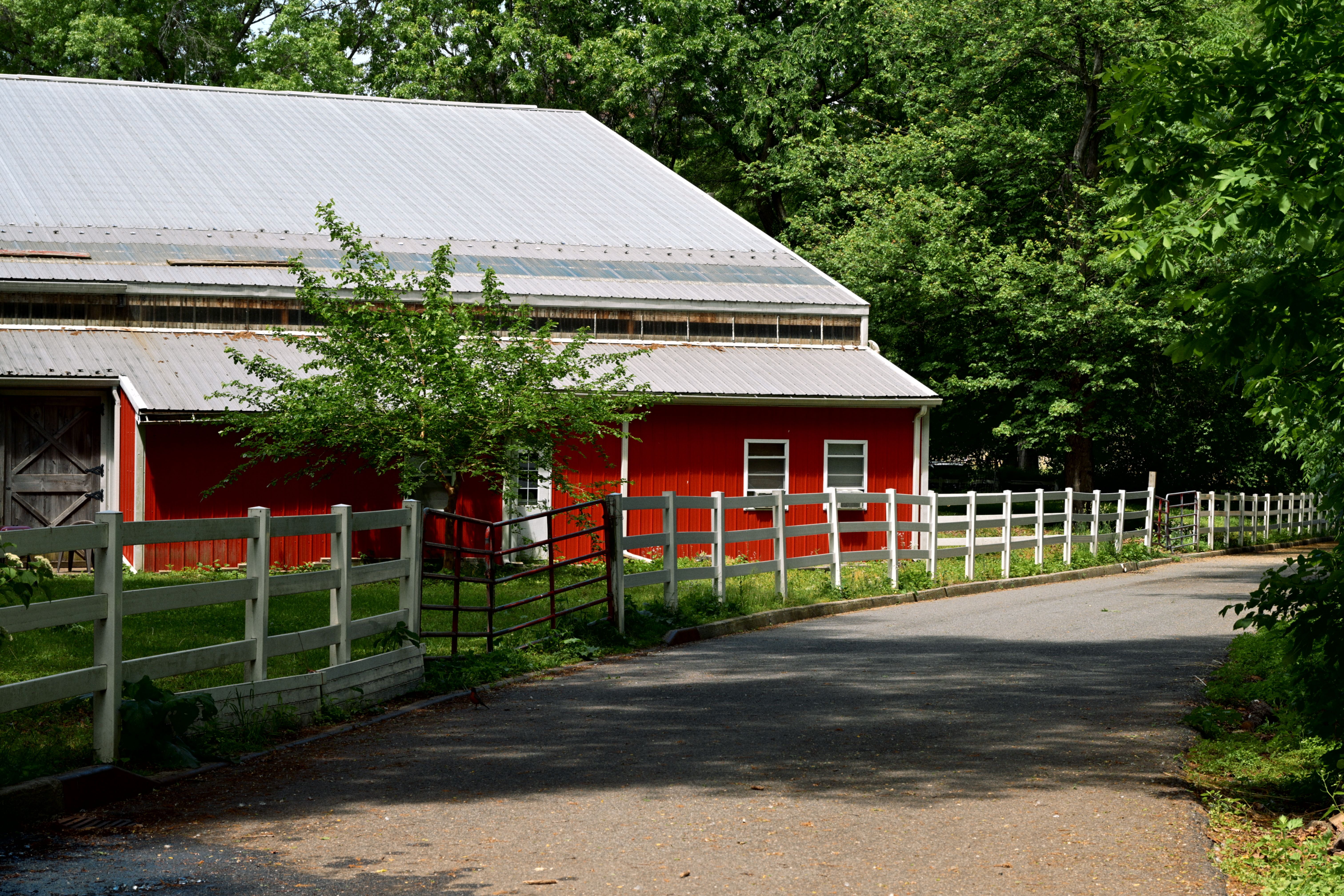 A picturesque red barn surrounded by lush greenery, epitomizing rustic countryside charm.