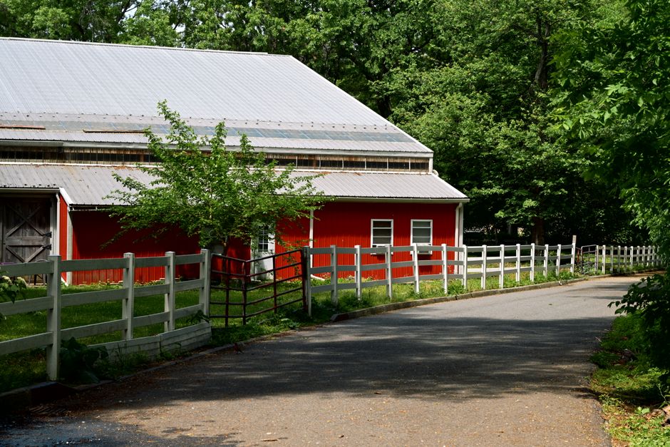 A picturesque red barn surrounded by lush greenery, epitomizing rustic countryside charm.