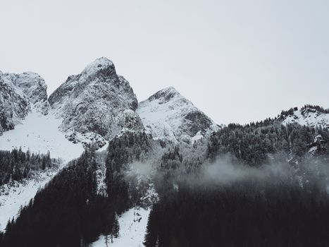 Stunning view of snow-capped mountain peaks surrounded by dense forest in winter.