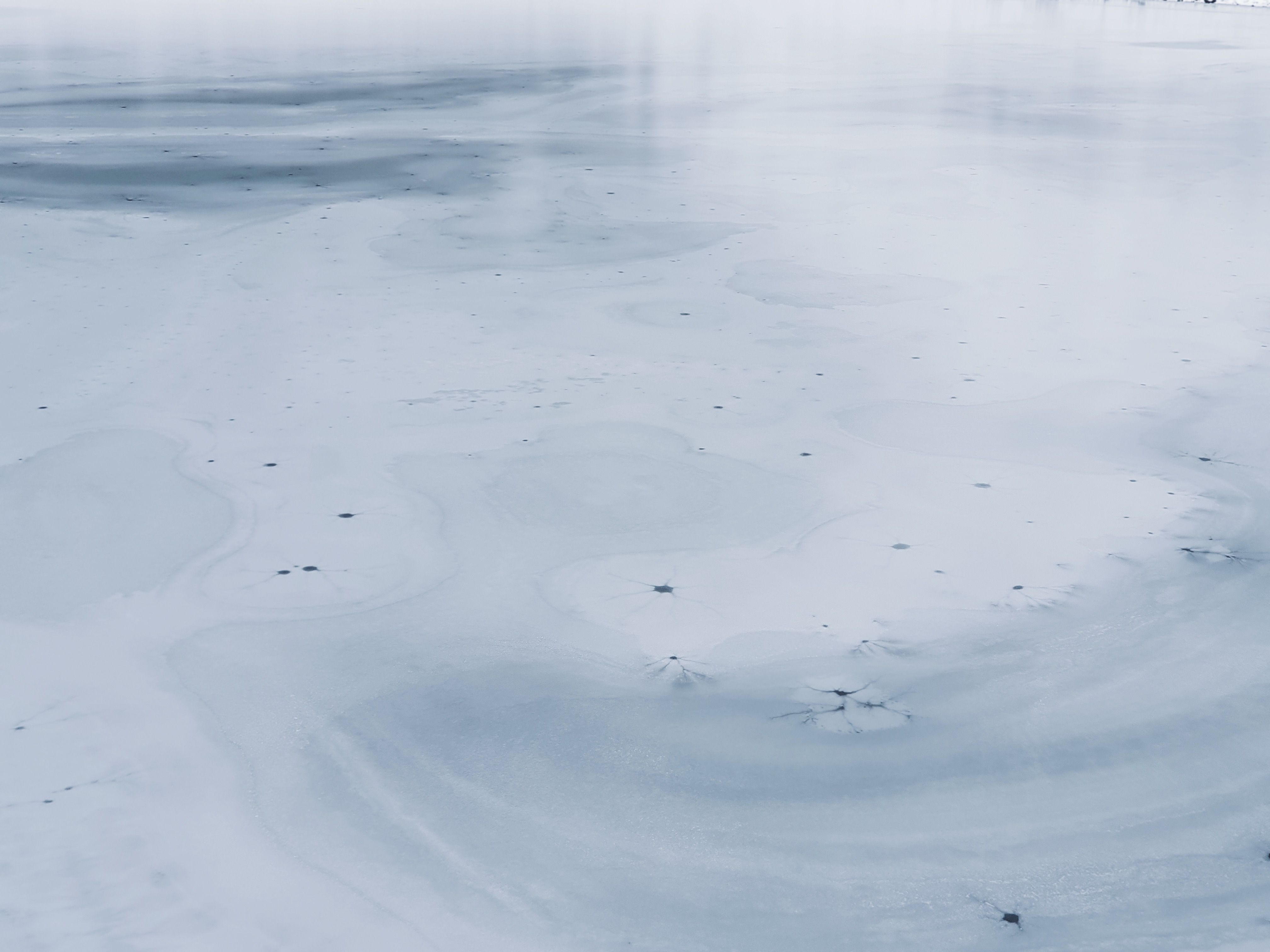 Serene Frozen Lake with Cracked Ice Patterns · Free Stock Photo