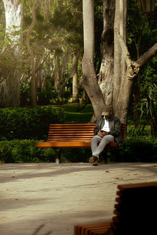 Free A man sits on a park bench using his phone under tall trees, creating a serene atmosphere. Stock Photo